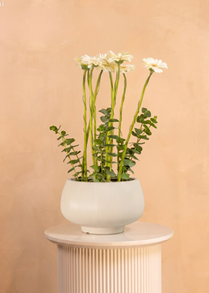 Get Well Soon Flowers