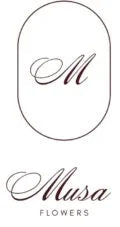 My Store